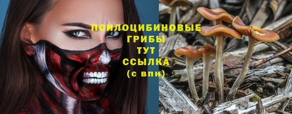 jwh Алзамай