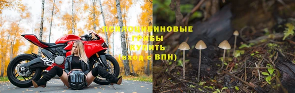 стаф Абинск