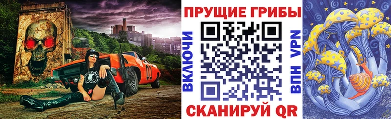 omg рабочий сайт продажа наркотиков Карпинск Псилоцибиновые грибы прущие грибы