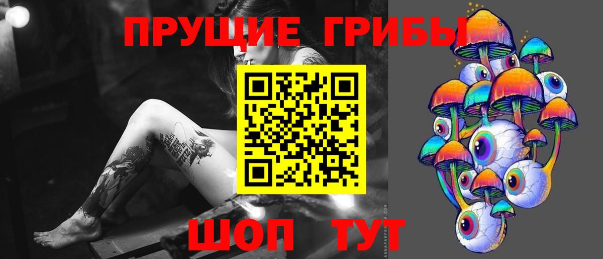 Галлюциногенные грибы Psilocybe  Вход с VPN  Карпинск 